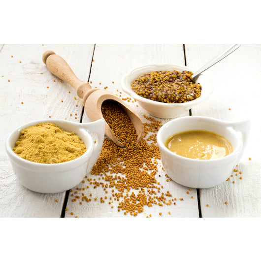 Colman's Dry Powder Mustard Jar, 12 x 16 oz Case - DOT product image 4