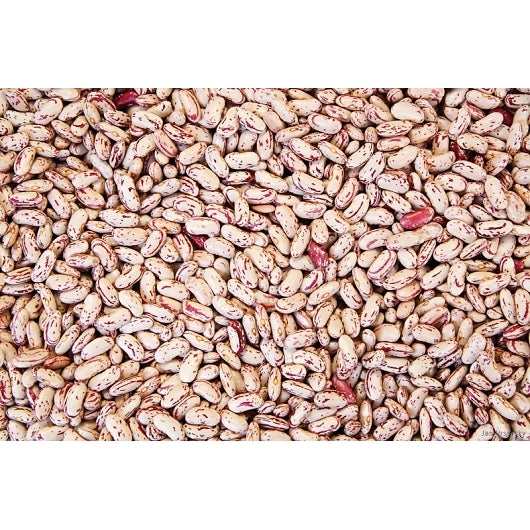 Commodity Beans Triple Clean Pinto Beans, 1 x 20 lb Case - Beans & Legumes