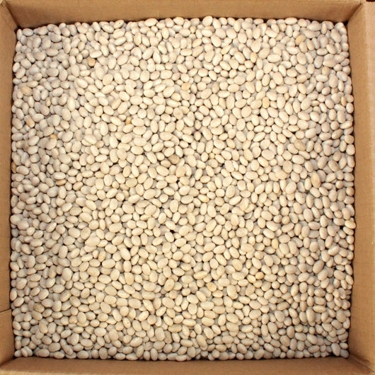 Commodity Beans Bean Navy Pea Beans, 1 x 20 lb Case - Pantry Ingredients