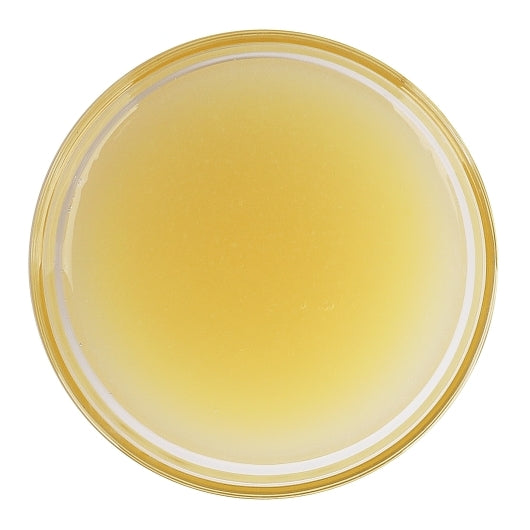 Savor Imports LEMON JUICE, 4 x 1 GA Case - DOT product image 3