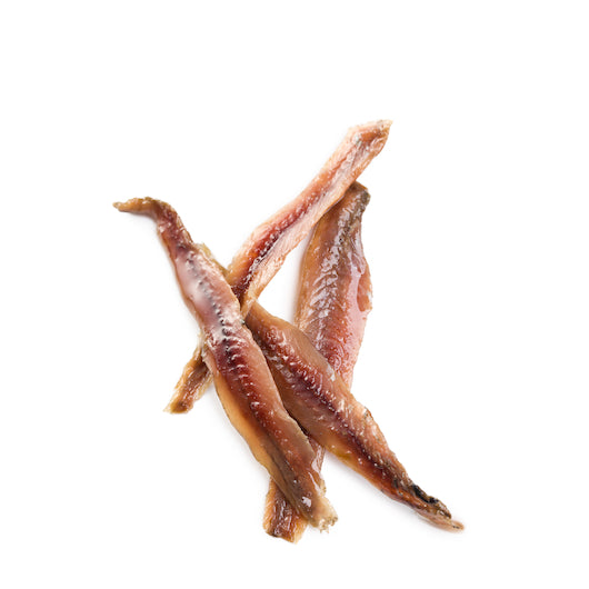 Savor Imports Anchovy Fillets In Olive Oil, 12 x 28 oz Case - DOT product image 5