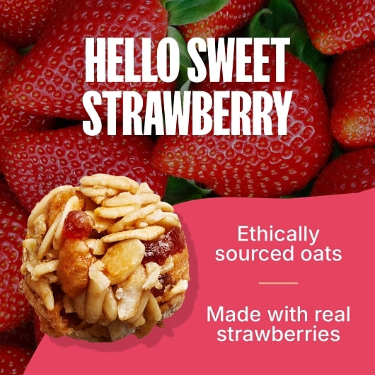 MadeGood Strawberry Granola Bites, 5 x 10 x 1.3 oz Case - Breakfast Foods - image 2