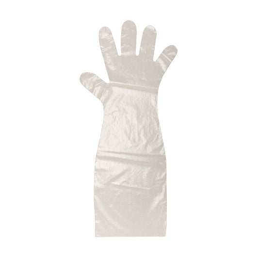 Glove (Poly Disposable Embossed Elbow Length Powder Free Polyethylene Glove, 1 x 250 x 250 each Case - Disposables