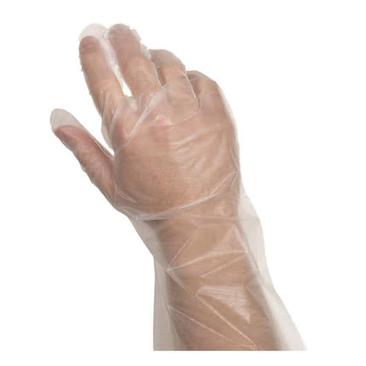 Glove (Poly Disposable Embossed Elbow Length Powder Free Polyethylene Glove, 1 x 250 x 250 each Case - DOT product image 3