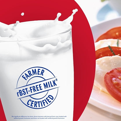 Galbani Fresh Mozzarella Sliced Log, 6 x 16 oz Case - DOT product image 7