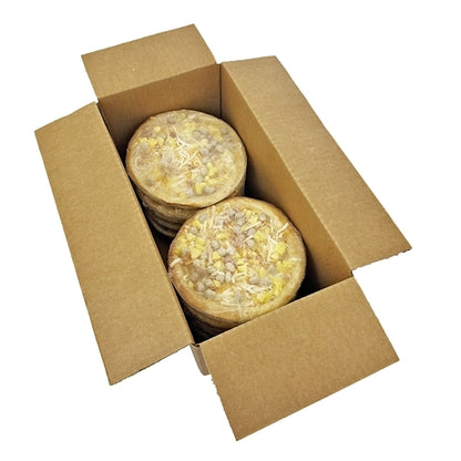 Orian Breakfast Pizza 7 INCH BREAKFAST PIZZA, 1 x 12 each Case - DOT product image 3