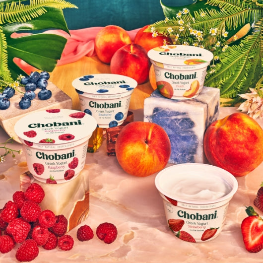 Chobani Non Fat Blueberry Yogurt, 12 x 5.3 oz Case - DOT product image 2