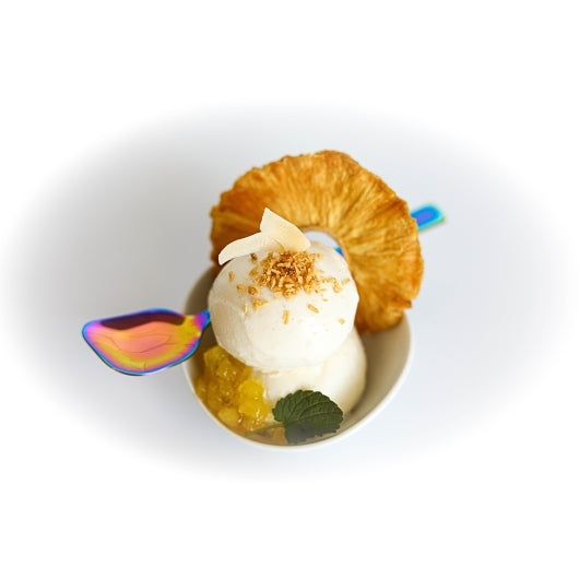 Villa Dolce CARIBBEAN COCONUT GELATO, 1 x 5 LT Case - Alternate product angle or state