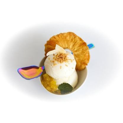 Villa Dolce CARIBBEAN COCONUT GELATO, 1 x 5 LT Case - Alternate product angle or state