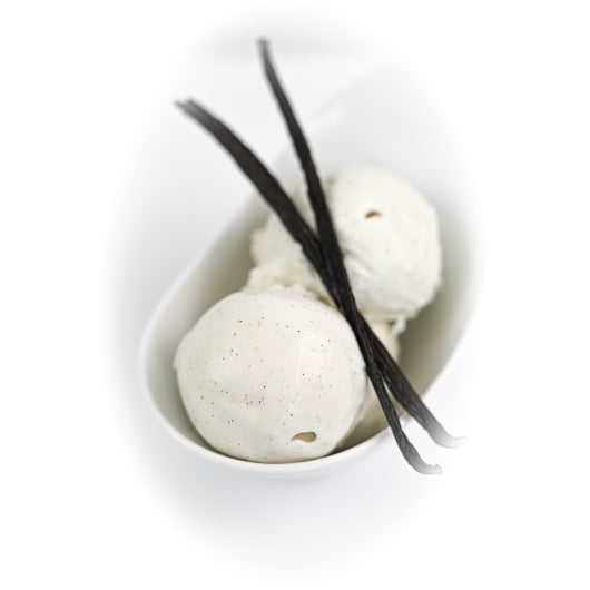 Villa Dolce VEGAN VANILLA GELATO, 1 x 5 LT Case - Alternate product angle or state