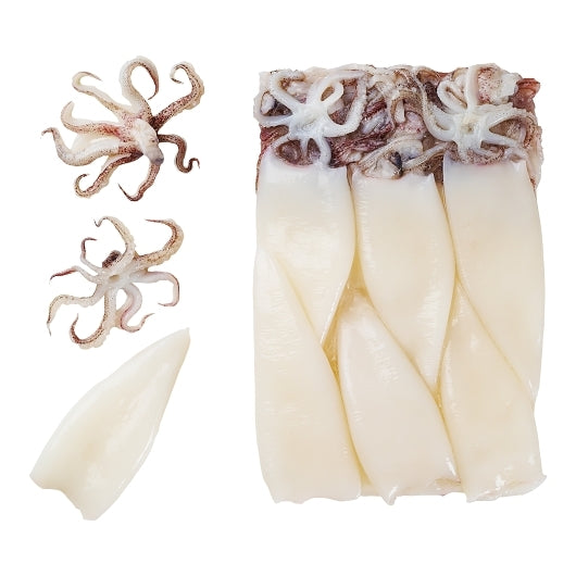 Panapesca Squid, Loligo, Raw, Frozen, Fully Cleaned, Various, Tubes & Tentacles, 4"-6", 4 x 2.5 lb Case - DOT product image 2