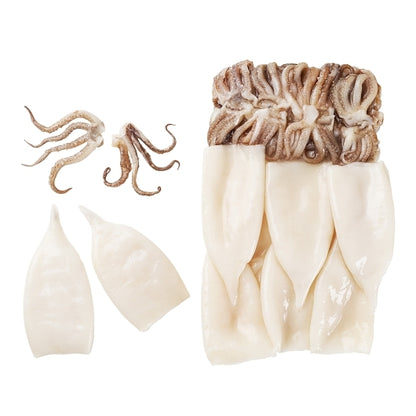 Pana Pesca Fully Squid, Illex/Arrow, Raw, Frozen, Fully Cleaned, Various, Tubes & Tentacles, 3"-5", 4 x 2.5 lb Case - DOT product image 2