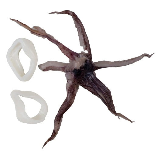 Pana Pesca Fully Squid, Loligo, Raw, Frozen, Fully Cleaned, Various, Rings & Tentacles, 8 Oz. Portion, 2 x 5 lb Case - DOT product image 2