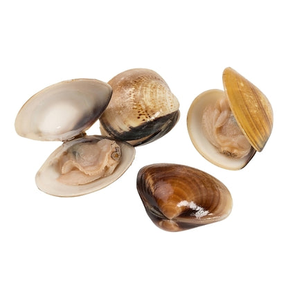 Panapesca Vacuum Pack In Shell Clams 17-22 Ct, 10 x 1 lb Case - DOT product image 3