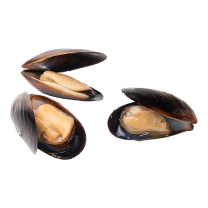 Pana Pesca Blue Cooked Frozen Blue Mussels In Shell 23-29, 10 x 10 lb Case - DOT product image 2