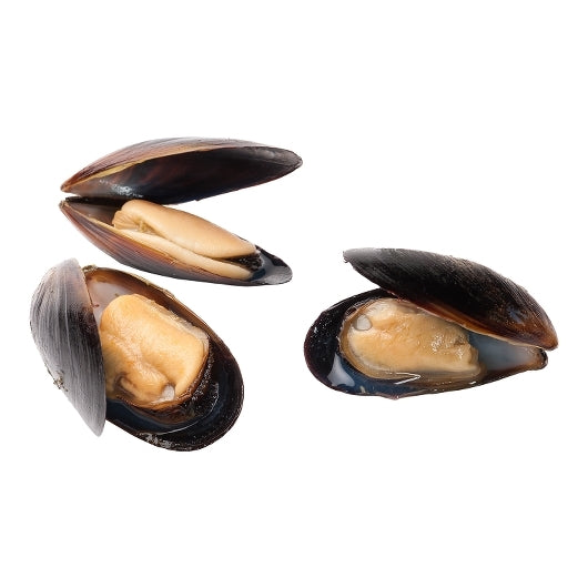 Pana Pesca Blue Cooked Frozen Blue Mussels In Shell 23-29, 10 x 10 lb Case - DOT product image 2
