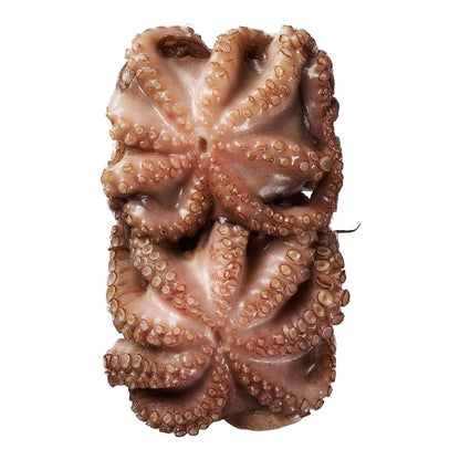 Pana Pesca Octopus Skin Pack Whole Cleaned Octopus, 8 x 17.6 oz Case - DOT product image 3