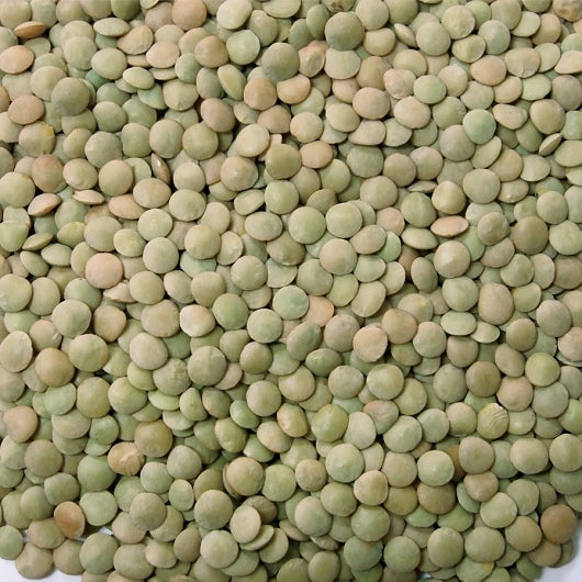 Jack Rabbit Lentils, 24 x 1 lb Case - DOT product image 2