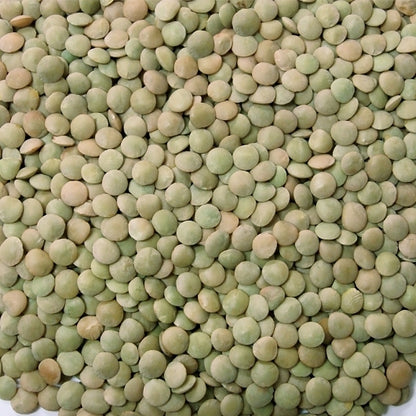Jack Rabbit Lentils, 24 x 1 lb Case - DOT product image 2