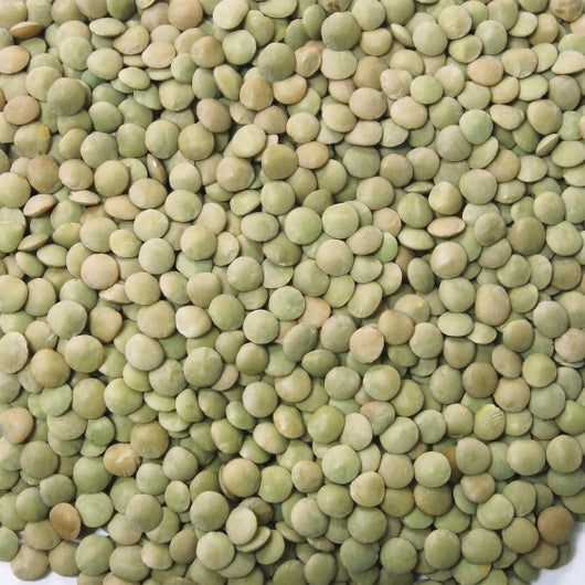 Jack Rabbit Lentils, 24 x 1 lb Case - DOT product image 7
