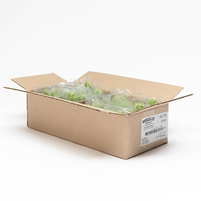 Wholly Individually Wrapped Avocado Halves, 1 x 64 ct Case - GS1 open-case image