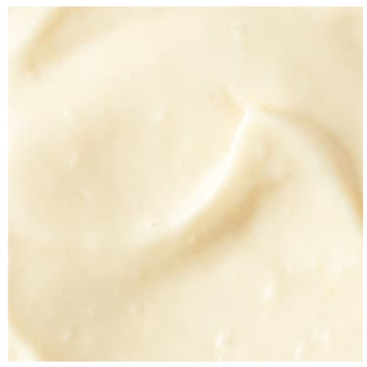 Girards Garlic Mayo Garlic Mayonnaise Aioli Bulk, 4 x 0.5 GA Case - Condiments & Sauces