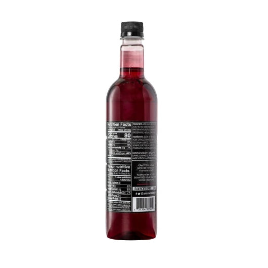 DaVinci Gourmet SUGAR FREE RASPBERRY SYRUP, 4 x 750 ML Case - DOT product image 2