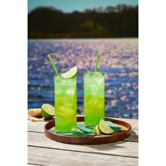 DaVinci Gourmet SUGAR FREE LIME SYRUP, 4 x 750 ML Case - DOT product image 5