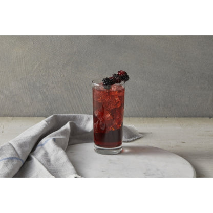 DaVinci Gourmet BLACKBERRY SYRUP, 4 x 750 ML Case - DOT product image 4