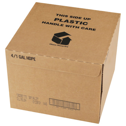 Bay Valley Dill Relish Bulk, 4 x 1 GA Case - GS1 closed shipping case image