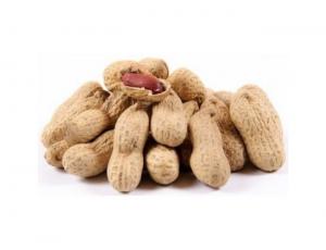 Unfi Jumbo Run Roasted and Salted Peanut, 1 Pound - 30 per case.