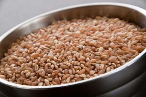 Inharvest Inc Farro 2lbs (PACK OF 6)