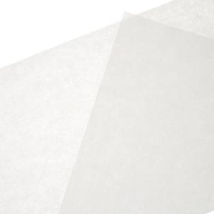 19.5? X 27.5? Filter Paper Sheets For Frymaster Pf50R (100/Case)