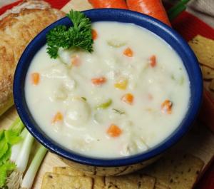 Taste Traditions Chicken W/Dumpling Soup, Frozen Soup (8 Lb. Bags, 2 Per Case)