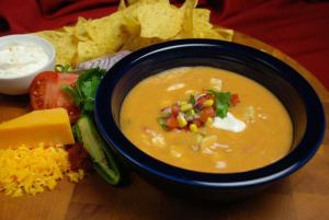 Taste Traditions Frozen Cheesy Chicken Tortilla Soup - 8 lb. package, 2 per case