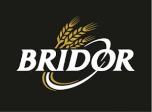 Bridor France Apple Turnover 3.7oz (PACK OF 50)