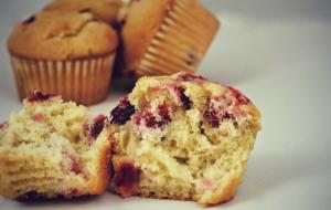 Foxtail Foods Simply Scoop Cranberry Nut Muffin Batter (16 lbs, 1 Pack)