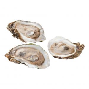 Hillman USA Half Shell Oyster, 30 Pound - 1 each.