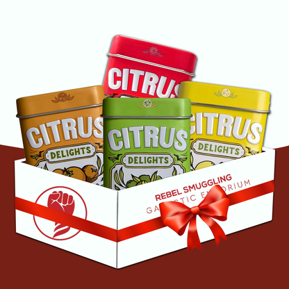 Big Sky Citrus Delights Variety Pack - 4 Gourmet Citrus Mint Flavors Gift Set