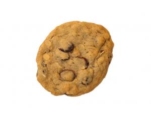 Davids Cookies Orange Cranberry Oatmeal Cookie Dough (1.5 OZ, 213 Per Case)