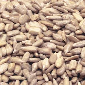 Azar Nut Company Sunflower Kernels Oil Roast, Salted (2.5 Lbs, 6 Per Case)