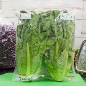 (Price/Case)Handgards 304985135 Bag Low Density Recloseable 13X1