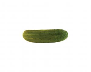 Bay Valley Foods Premium Whole Dill Pickle, 1 Gallon -- 4 / case.