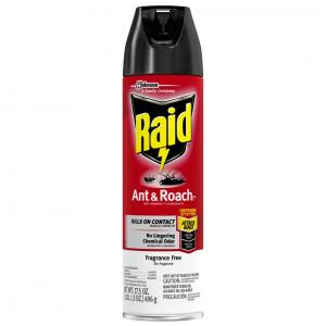 Raid Ant & Roach Aerosol Fragrance Free, 17.5 Ounce (12 Pack)