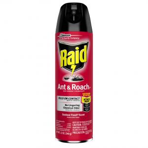 Raid Ant & Roach Aerosol Outdoor Fresh, 12 Ounce (12 Pack)