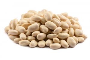 Commodity Beans Great Northern Bean, Bulk Size Case (20 Lbs, Pack Of 1)