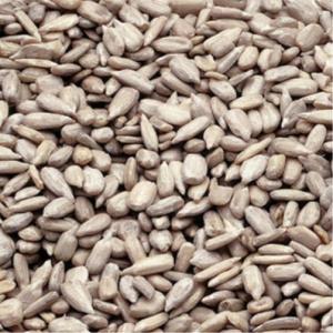 Bakers Select Sunflower Kernels Oil Roasted, 5 Pound -- 1 Case