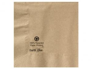 Hoffmaster Napkin Beverage Kraft 10x10 2 Ply 100 % Recycled Earth Wise, 250 Each (12 Pack)